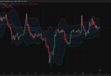 What Drives the Volatility in XRP Price USD?