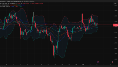 What Drives the Volatility in XRP Price USD?